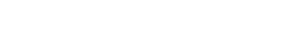 STE Logo